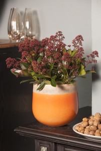 Blosjz skimmia bloem2 lr